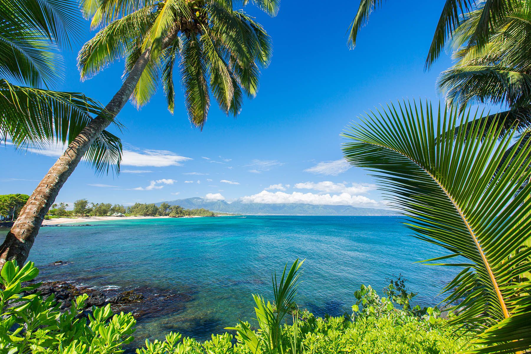 Wailea Beach Condo