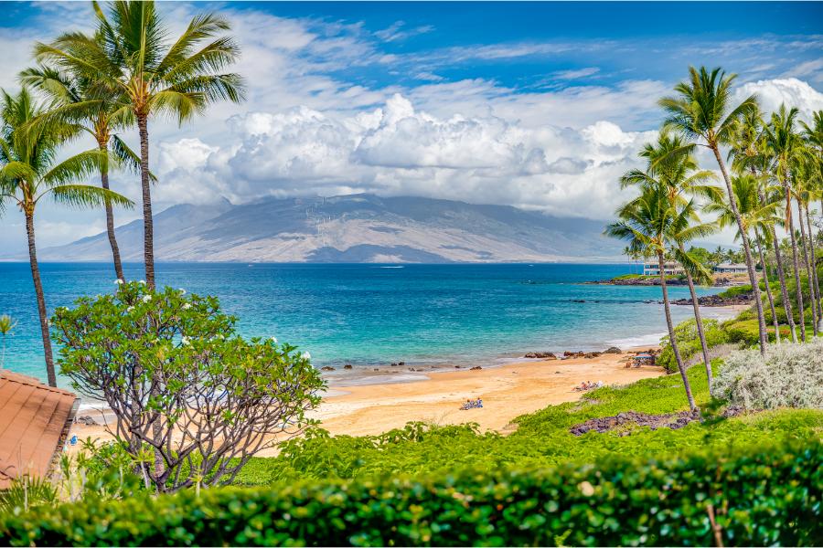 Maui Family Vacation