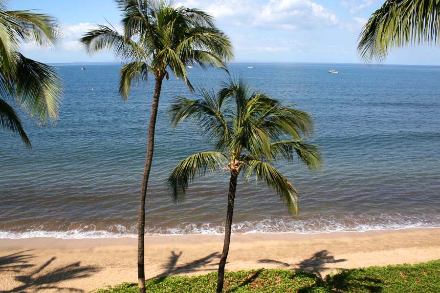 Makena Condo Rental