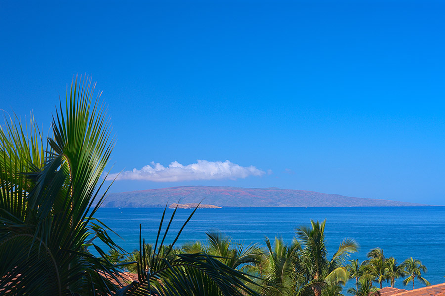 Maui Beachfront Condo