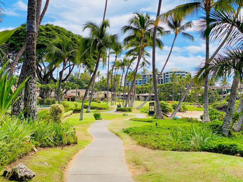 Wailea Beach Condo