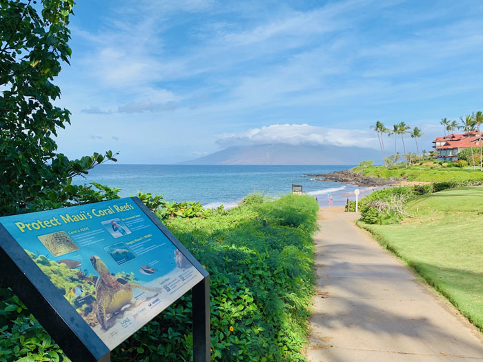 Wailea Oceanfront Condo