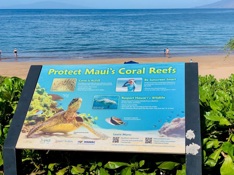 Maui travel guide