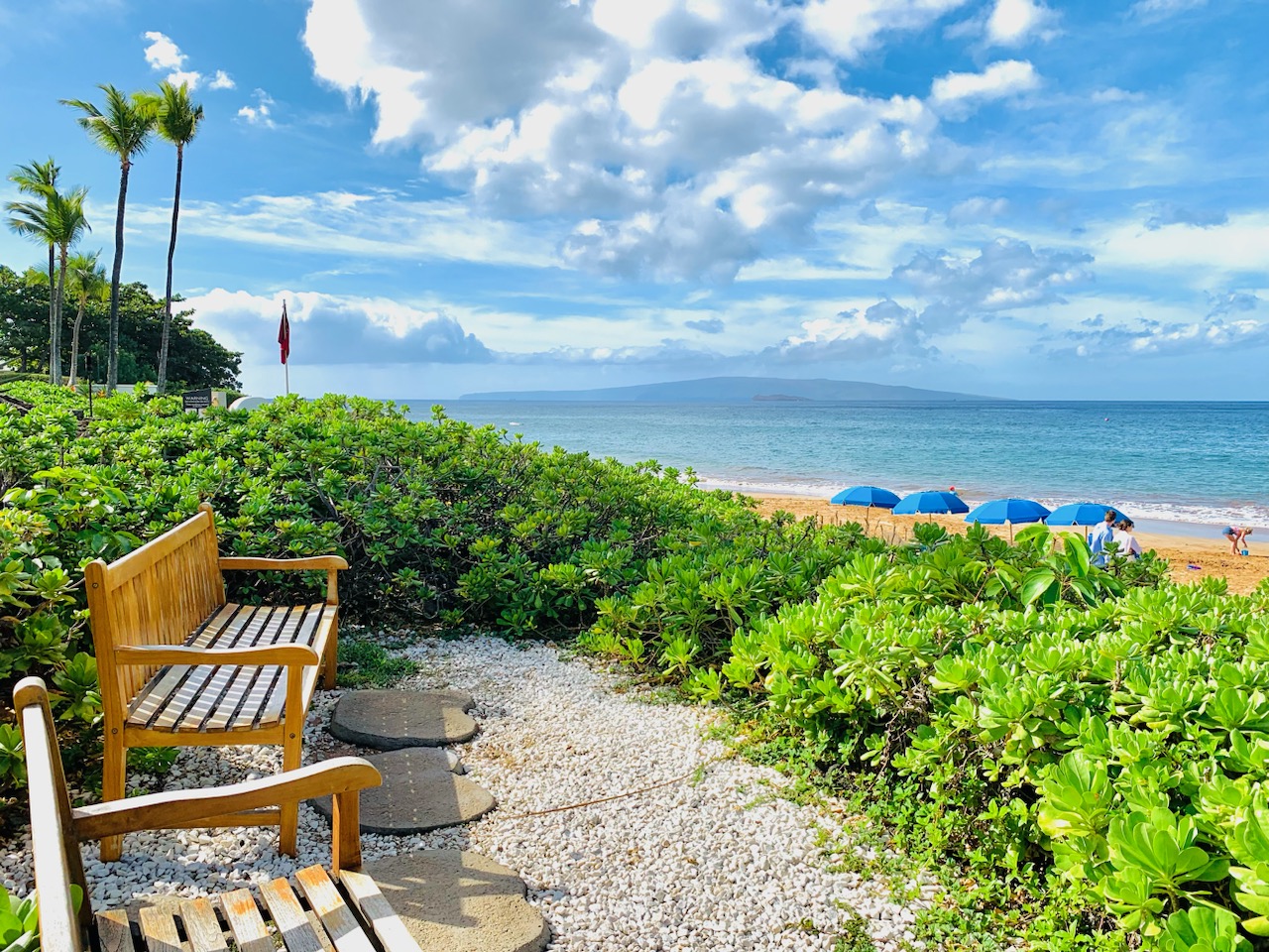 Wailea Beach Condo