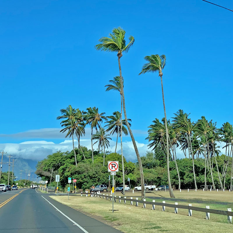 Maui Beachfront Condo