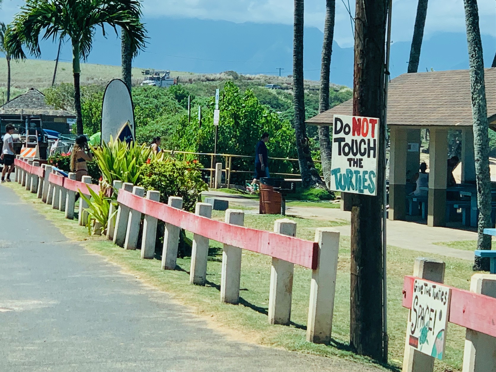 Maui Beachfront Condo